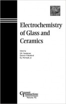 Fundamentals of Inorganic Glasses