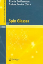 Spin Glasses